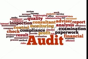Audit Consulting Legal International